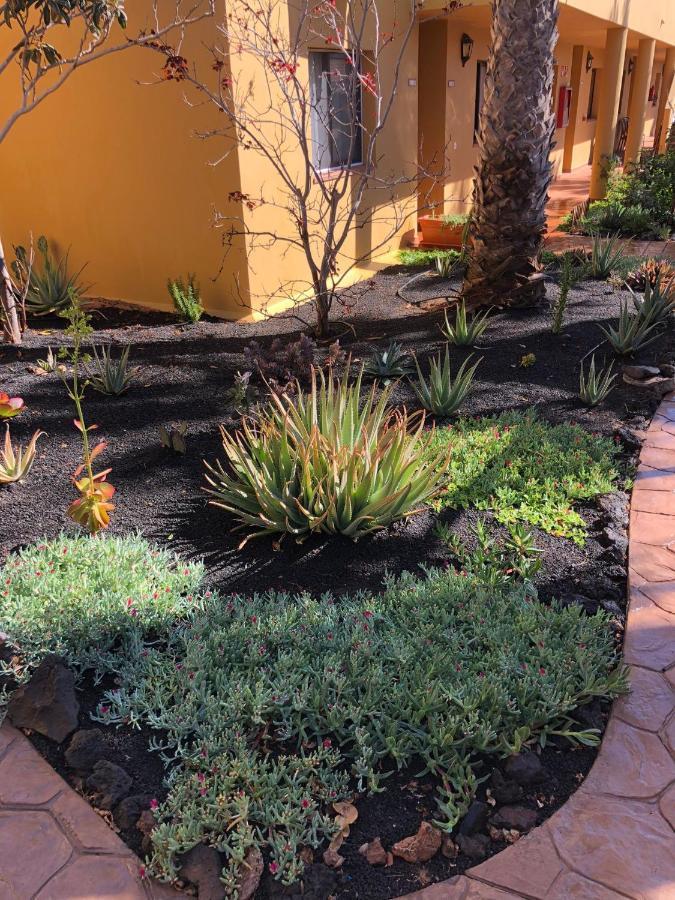 Casa Molly Apartman Corralejo Kültér fotó