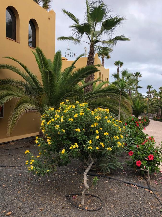 Casa Molly Apartman Corralejo Kültér fotó